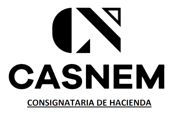 Casnem